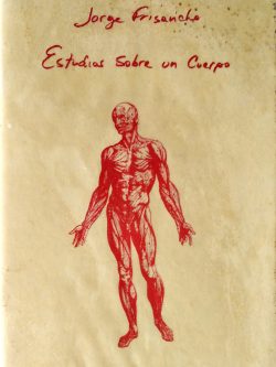 Estudios sobre un cuerpo