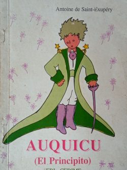 Auquicu - El principito